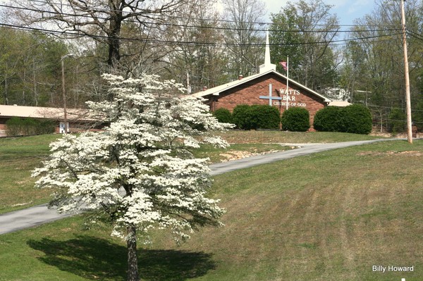 Dogwood tree in front of CHURCH