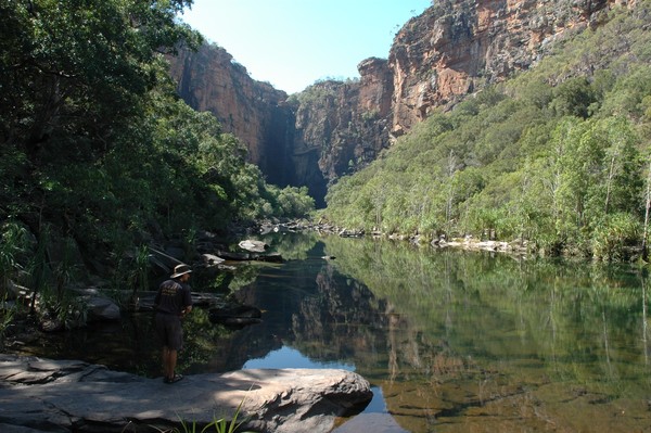 Beautiful Kakadu