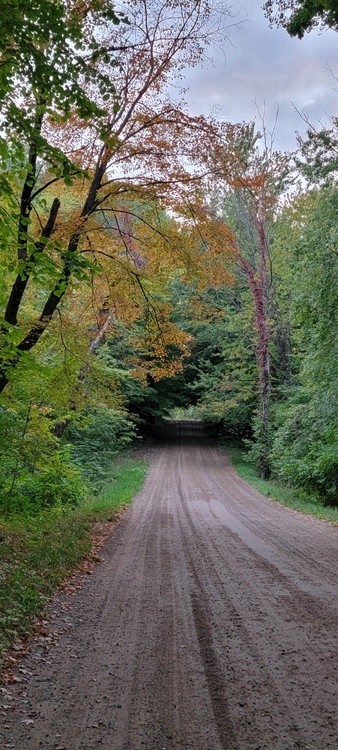FALL BEGINNING EARLY