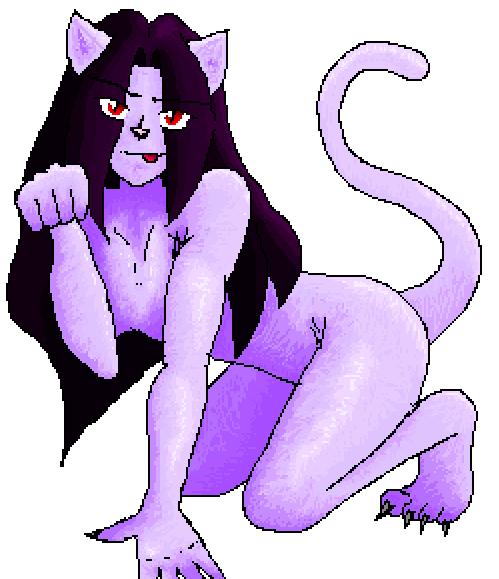 Kinky Kitty