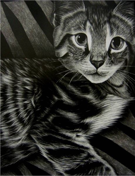cat