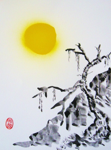 Mountain cuckoo at midday