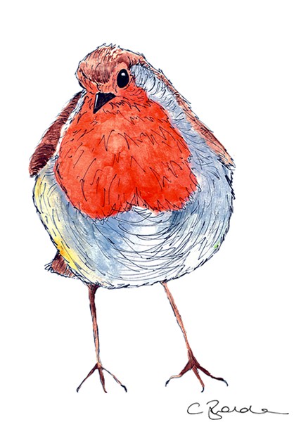 Robin