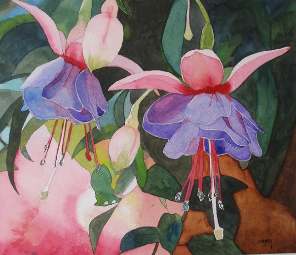 fushia