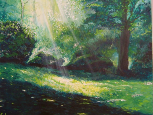 light in the forest