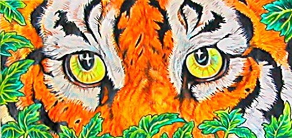 Tiger Eyes