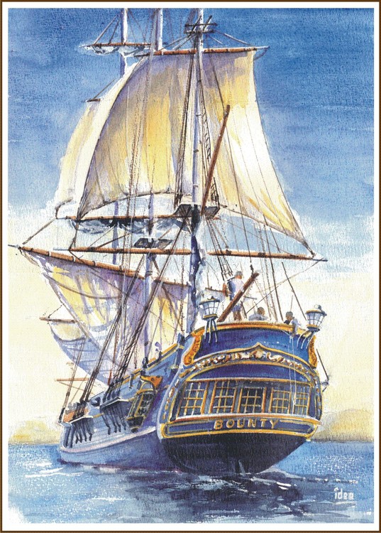 The Bounty
