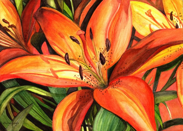 Tiger Lilies