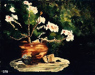 geranium