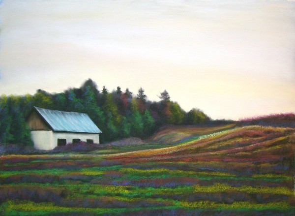 Paddy Green Rd. Flamborough Ontario