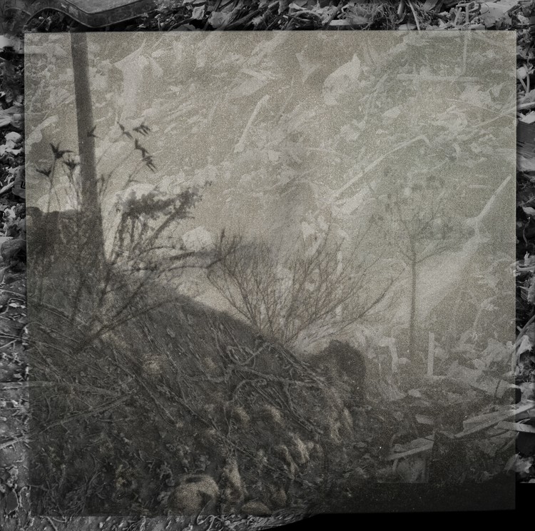 Amalgamated Fragmentation / Plastisphere-Earth 8