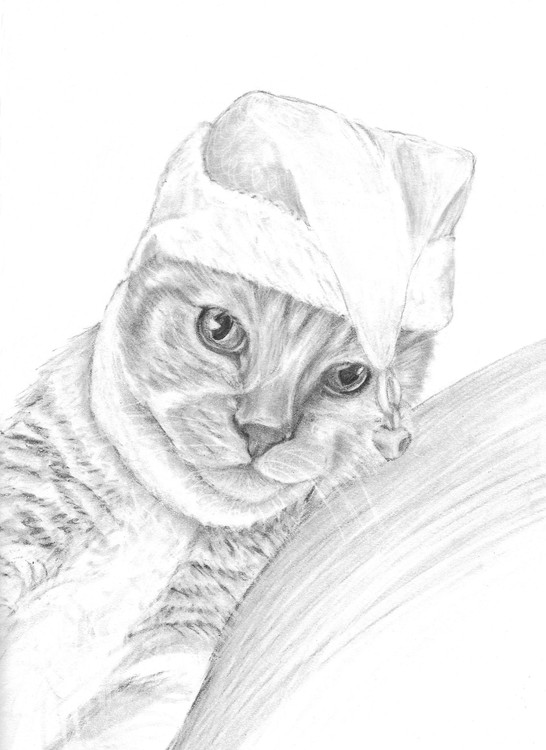 Christmas Kira 