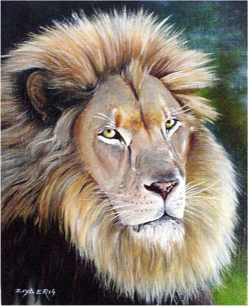 Lion