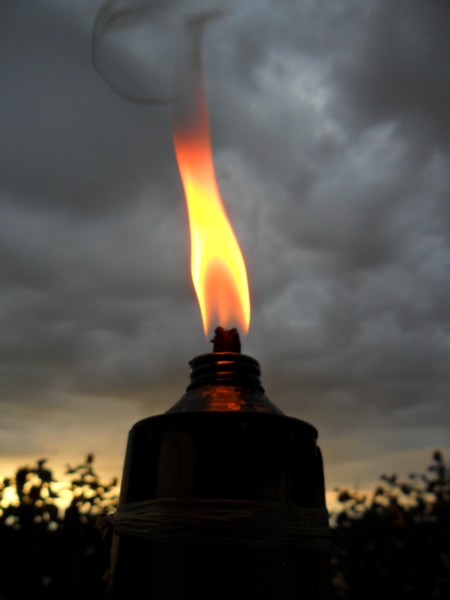party torch