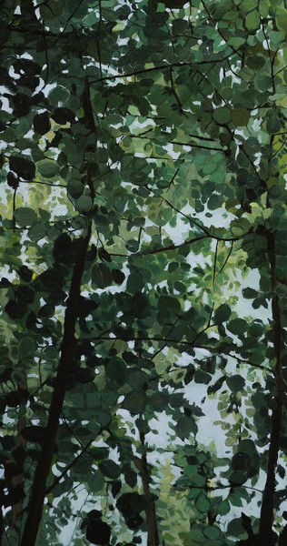 Woods detail 6