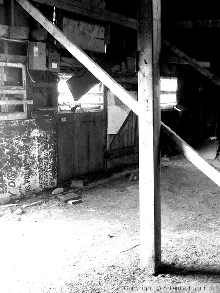 barn beams
