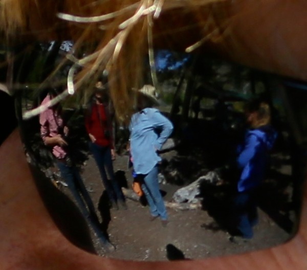 The Reflection