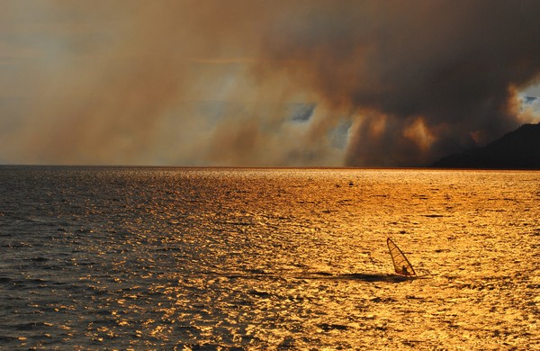 Wildfire Windsurfer