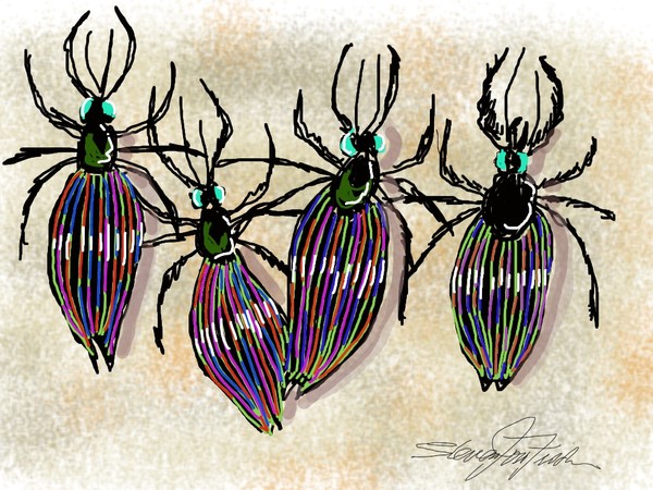 TWEEDLE BEETLES