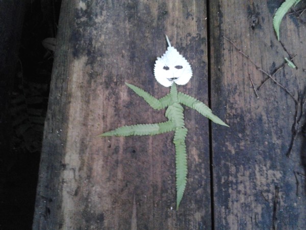leaf art: a girl