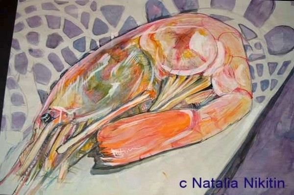 Giant Prawn