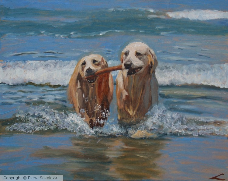 Wet dogs 2