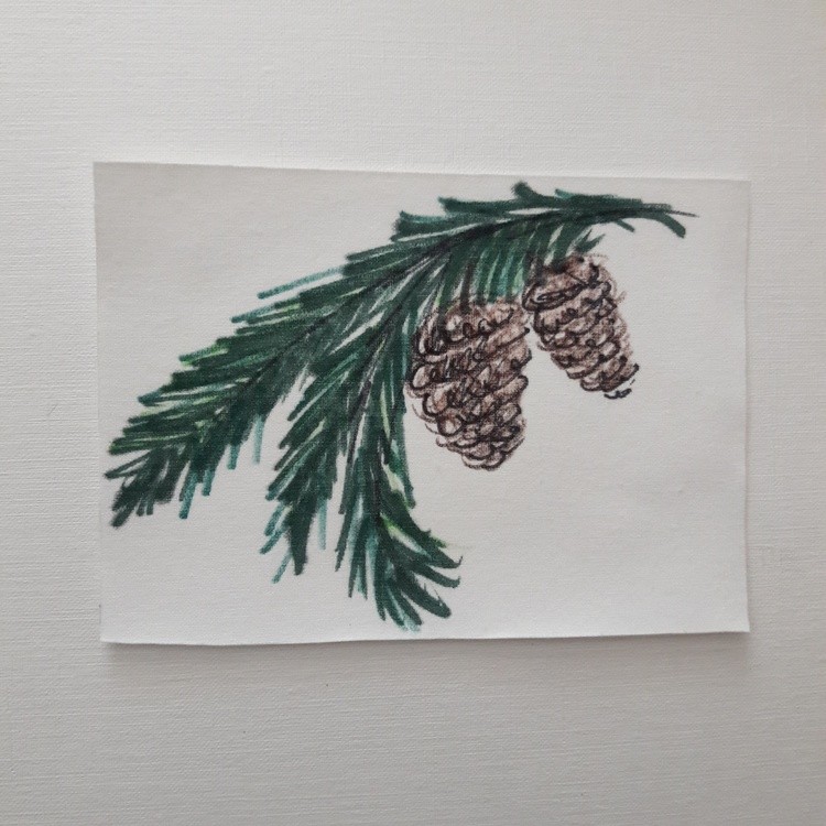 Pinecones
