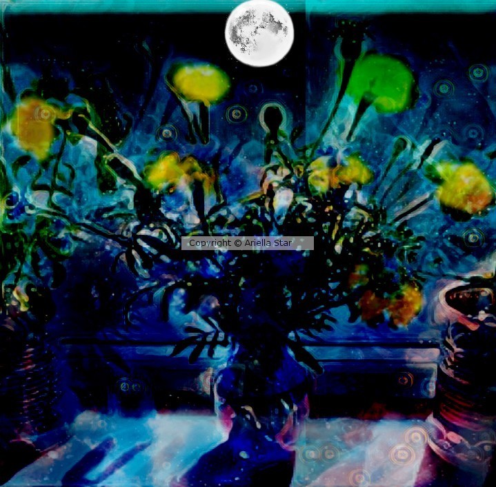 Flowers in vase by moon light