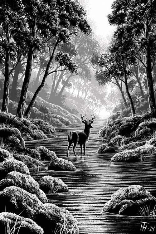 Deer in the Forest
