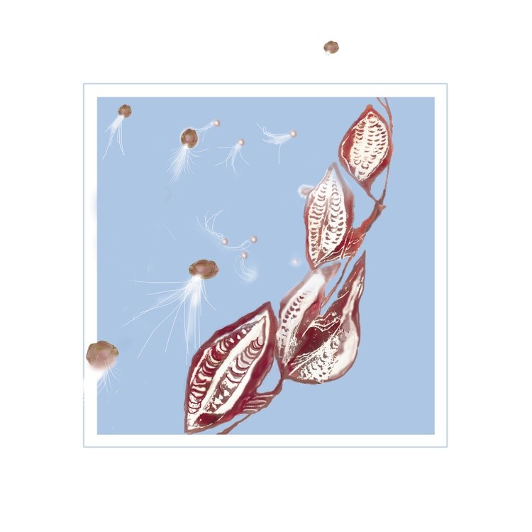 Seed Pod pg 10