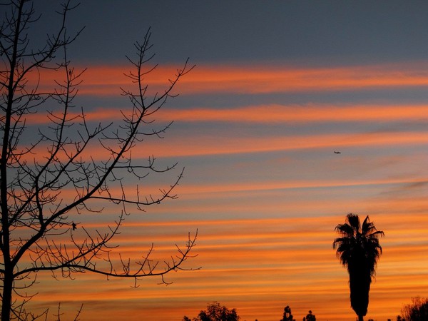 Sunset Lines 2