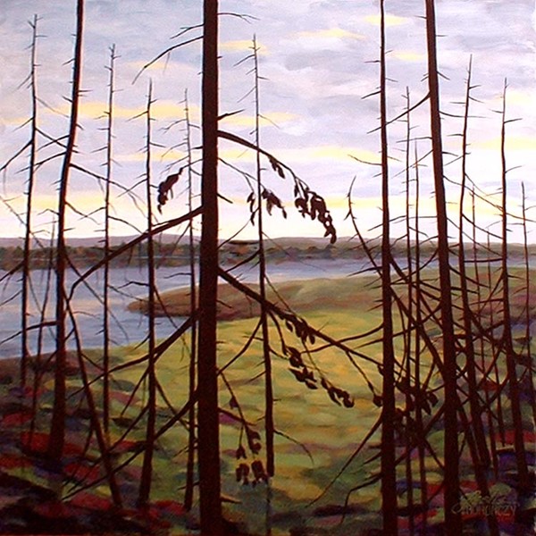 Spruce Twilight