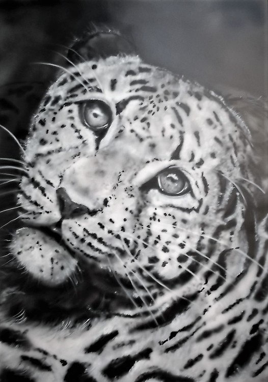 A2 card Leopard airbrush