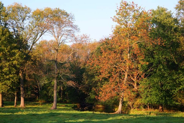 Lou's Creek