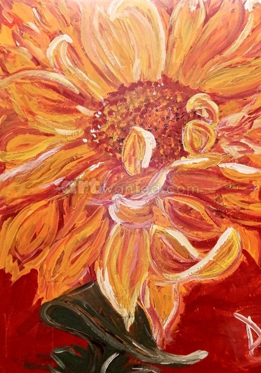 Morning flower