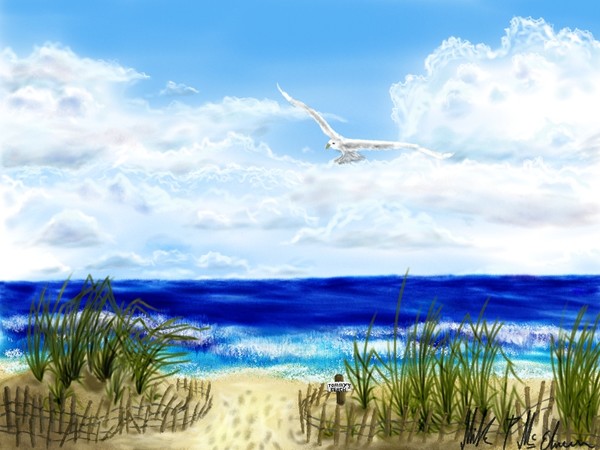 TOMMY'S BEACH