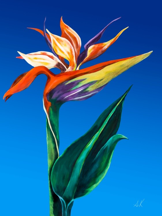 Bird of Paradise