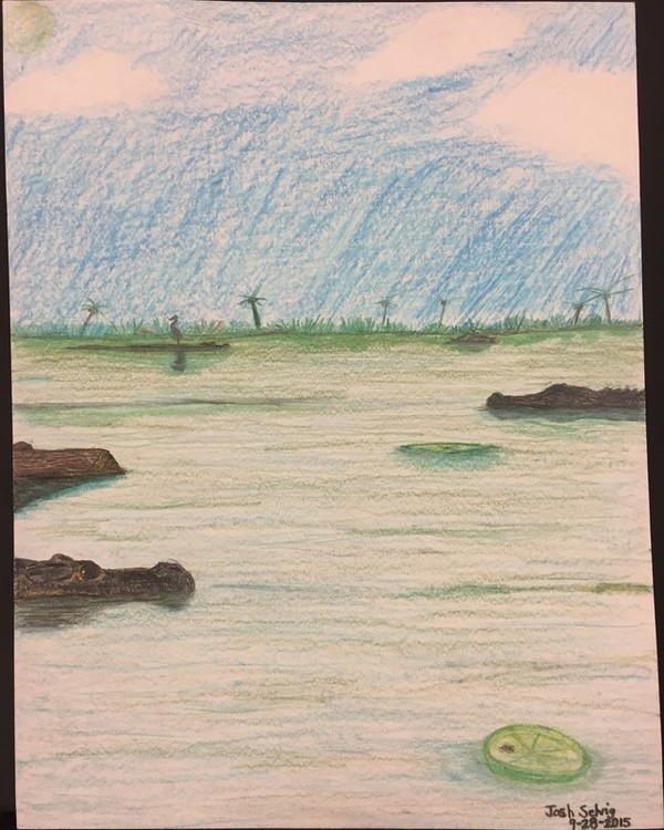 Everglades