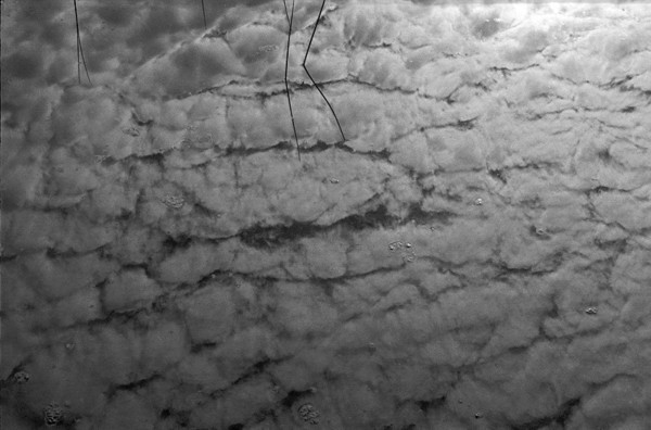 Clouds in the Water