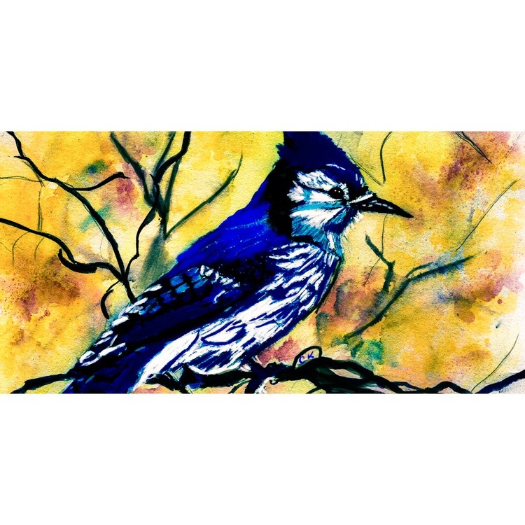 Blue Jay 1