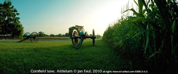 The Cornfield, Antietam