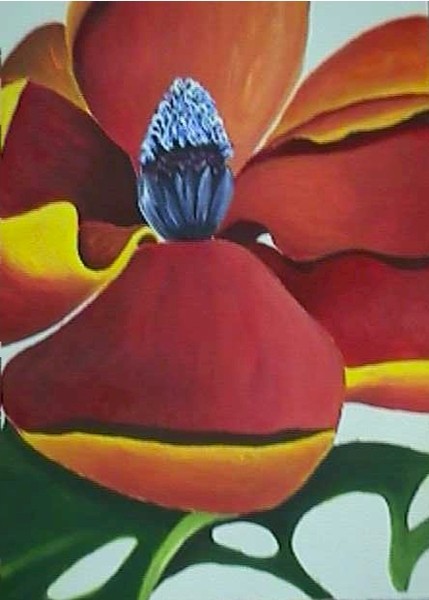 Red Magnolia