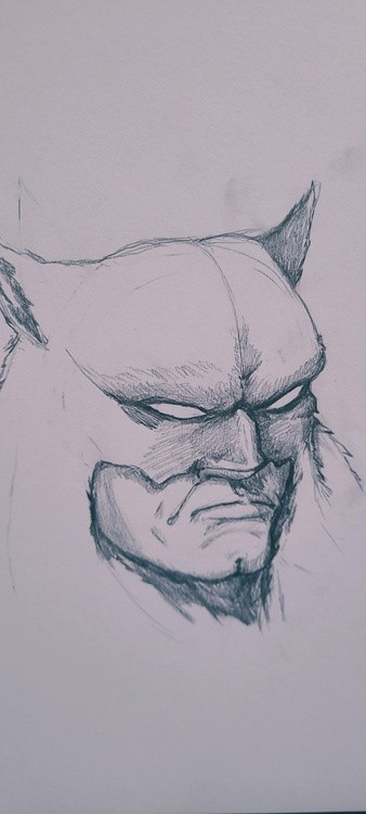 Dark wolf from Fire and Ice