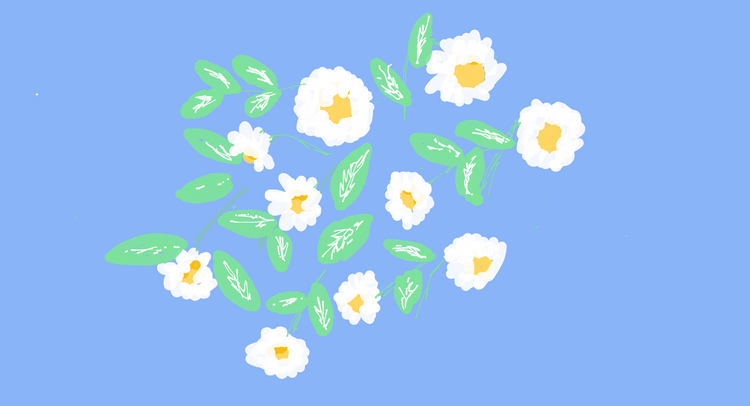 Daisy Daisy 