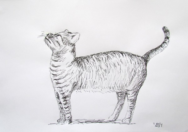 CAT - INK