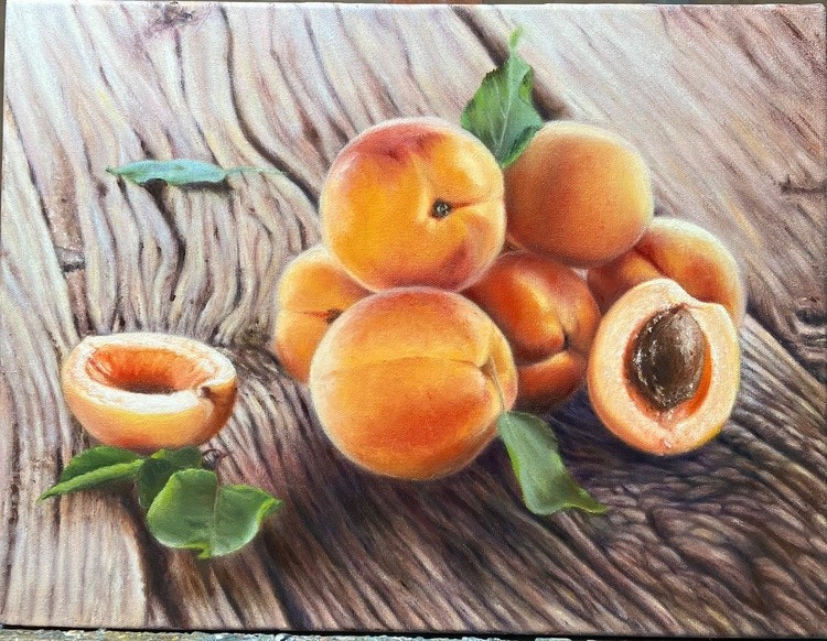 Fresh Apricots on the Wooden Table