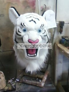 white tiger