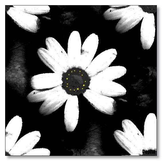 POPART FLOWER THEME