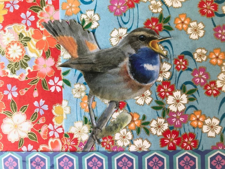 Bluebird