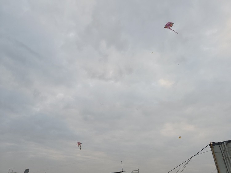 Kites Flying